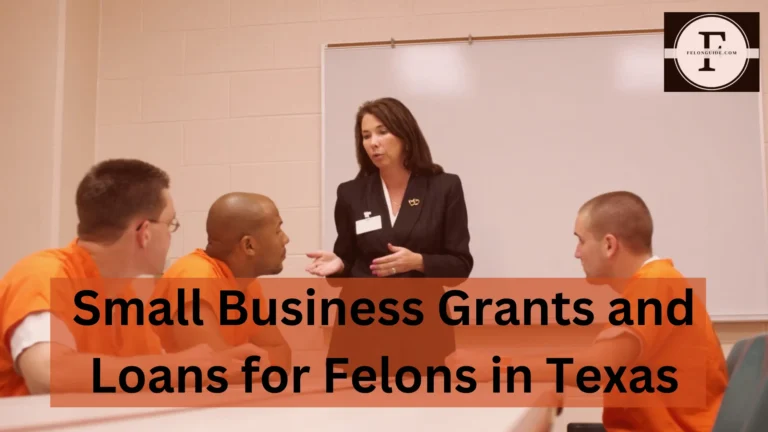 Small Business Grants and Loans for Felons in Texas