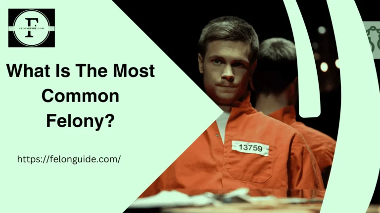 What Is The Most Common Felony?